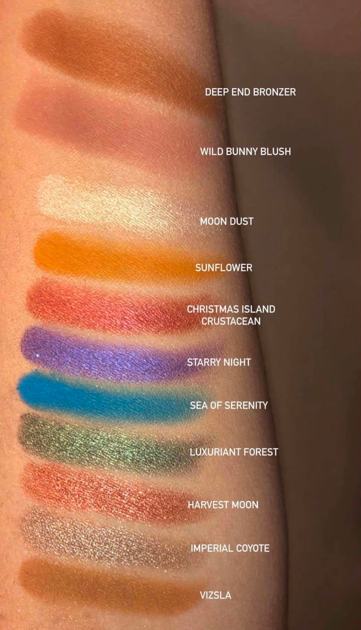 Color swatches on a skin surface with labeled names